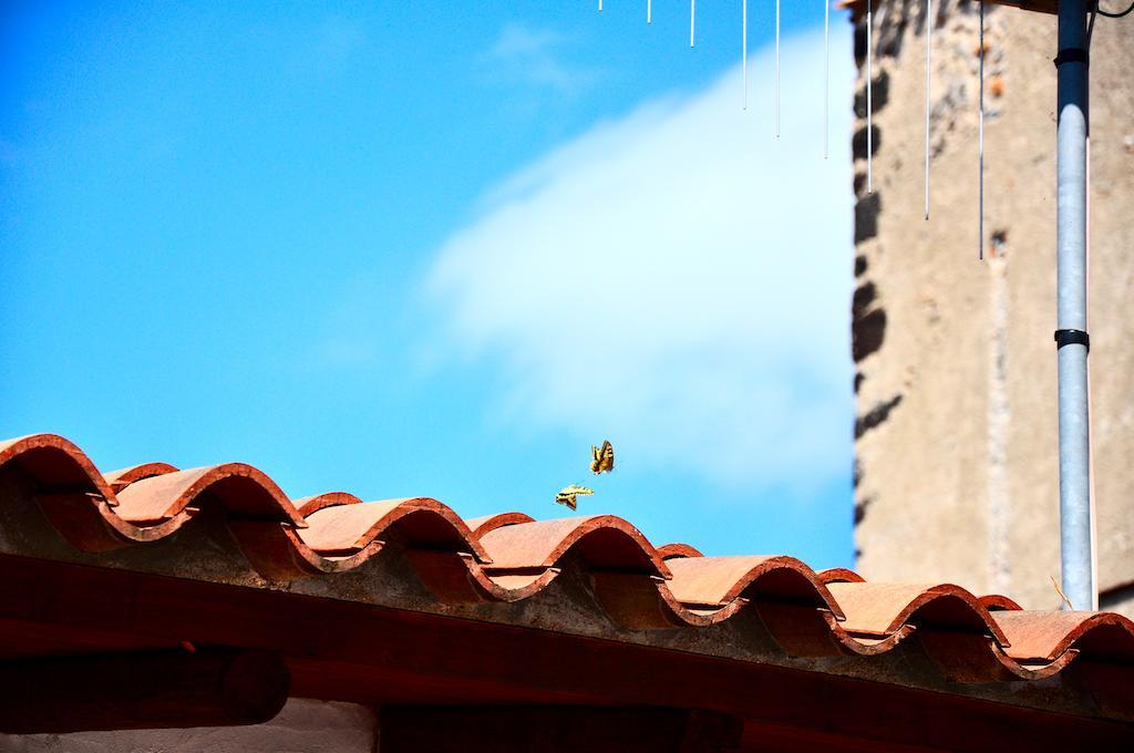 B&B Casacori Orosei Exteriér fotografie