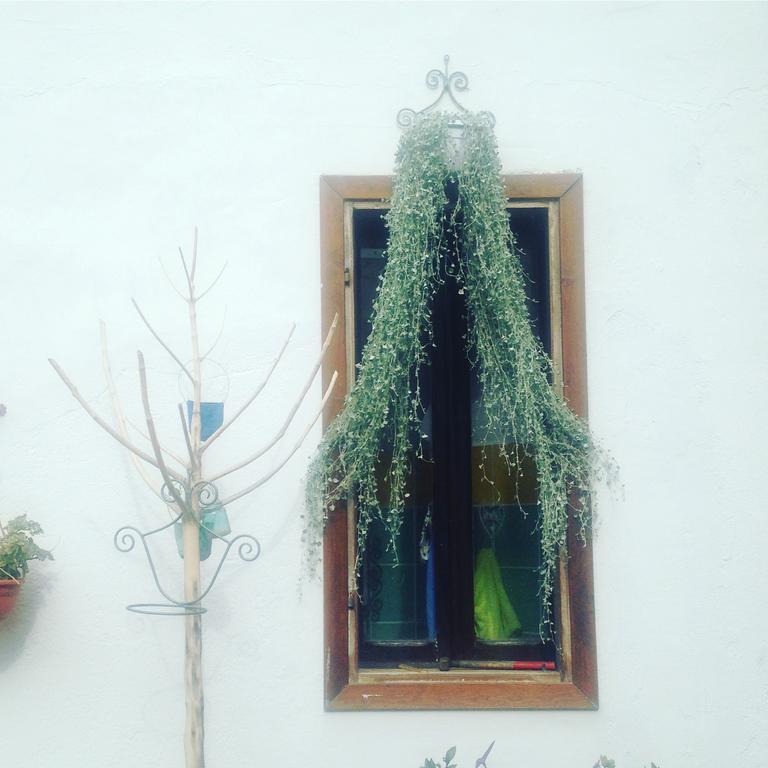 B&B Casacori Orosei Exteriér fotografie